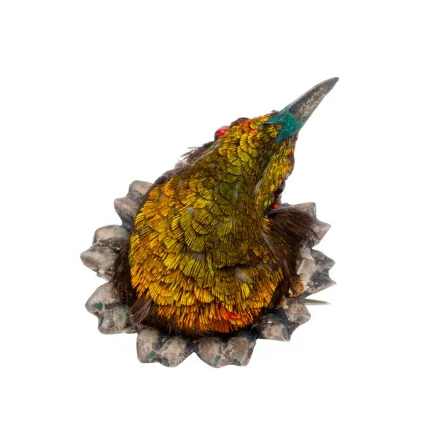 Earrings Bell Bird Antiques Rare Victorian Taxidermy Hummingbird Brooch