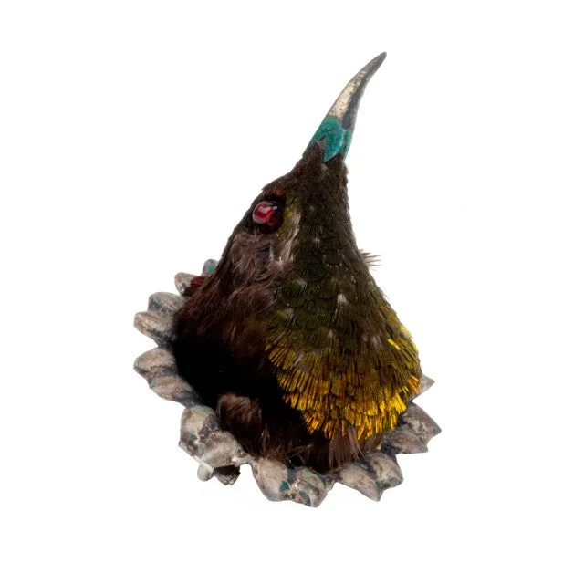 Earrings Bell Bird Antiques Rare Victorian Taxidermy Hummingbird Brooch