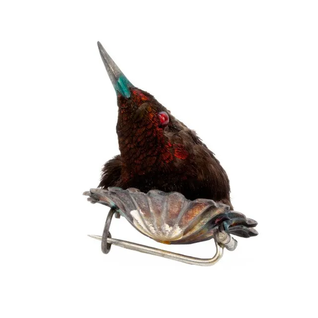Earrings Bell Bird Antiques Rare Victorian Taxidermy Hummingbird Brooch