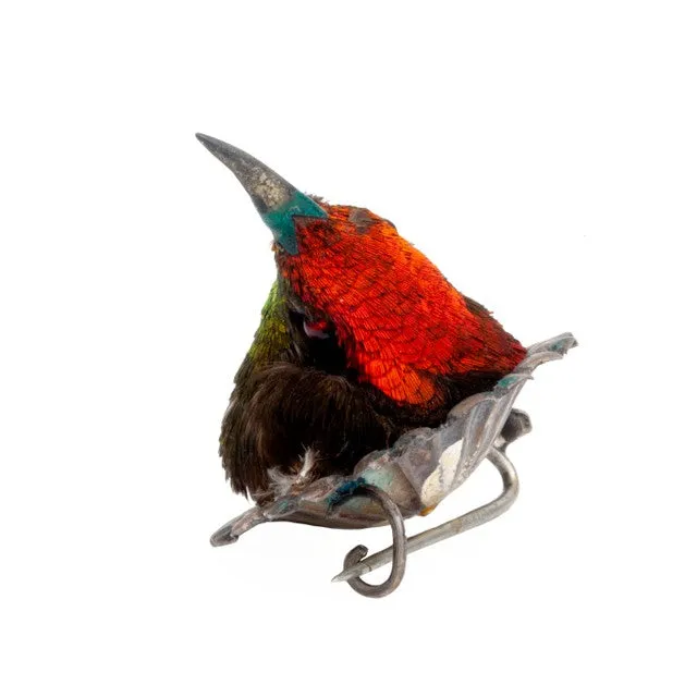 Earrings Bell Bird Antiques Rare Victorian Taxidermy Hummingbird Brooch