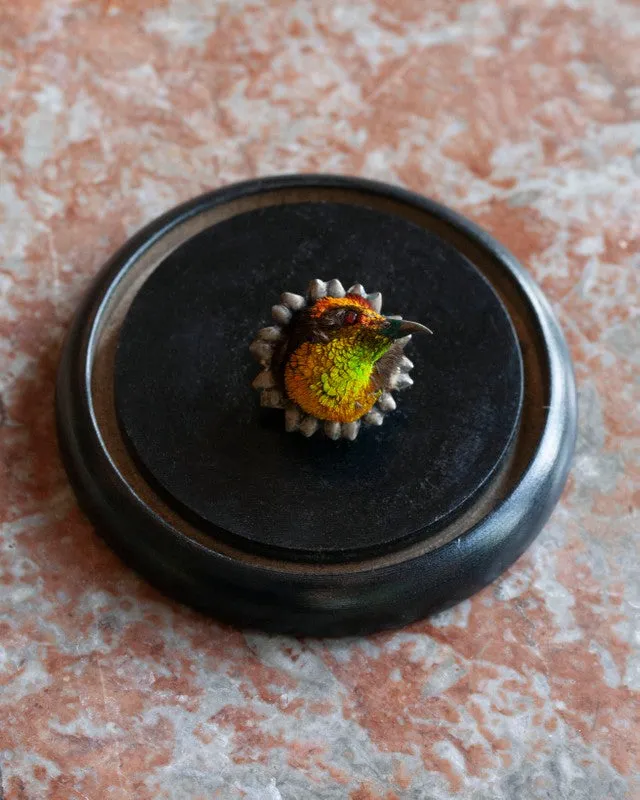 Earrings Bell Bird Antiques Rare Victorian Taxidermy Hummingbird Brooch