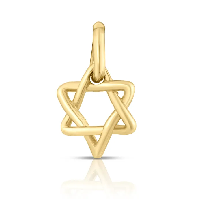 NicoleHD Jewelry Gold Mini Star Of David Charm Earrings