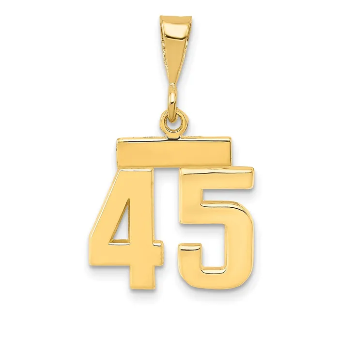 14k Yellow Gold Small Polished Number 45 Charm Goldia Charm Necklaces