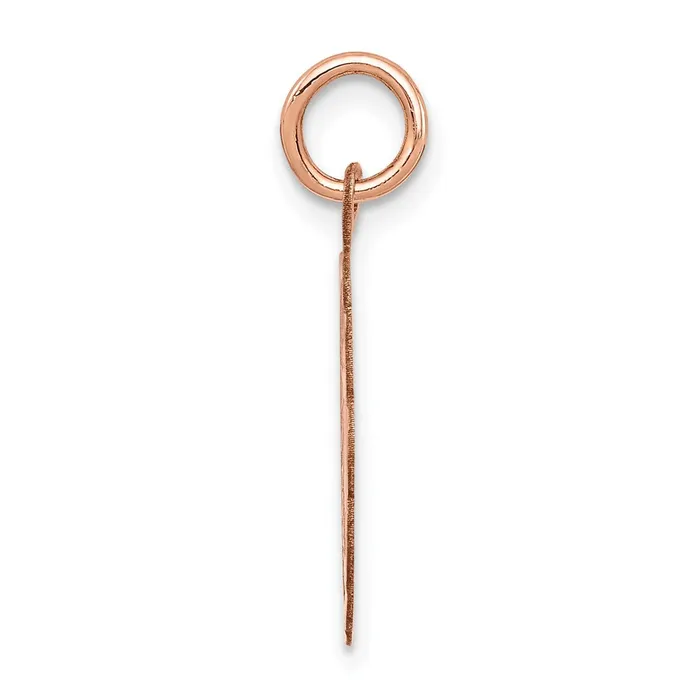 Goldia Charm Necklaces 14k Rose Gold Confirmation Disc Charm