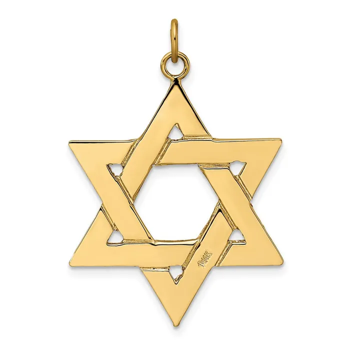 Goldia Necklaces 14k Yellow Gold Polished Solid Star of David Pendant