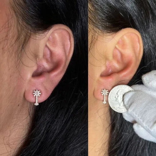 Original Haus of Brilliance 10K Rose Gold 14 Cttw Diamond Palm Tree Push Back Stud Earrings HI Color I1I2 Clarity JMS always Earrings Original Haus of Brilliance 10K Rose Gold 14 Cttw Diamond Palm Tree Push Back Stud Earrings HI Color I1I2 Clarity JMS always Earrings